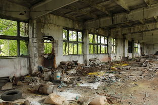 探索龙脊雪山石碑，揭开历史的神秘面纱