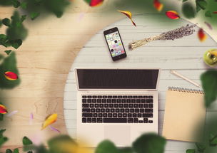 全能音频转换通，解锁音频格式转换的艺术与技巧