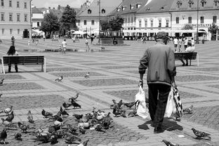 四川宜宾地震，昨晚的震撼与应对