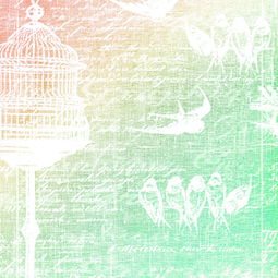 打造个性化网店，比比鸟网店装修网的实用指南