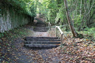 骑马与砍杀，光明与黑暗—探索中世纪的荣耀与挑战