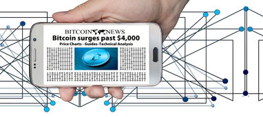 探索一路刷平台，数字化时代的消费新趋势