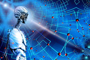 探索格斗家转职，职业路径、技能提升与未来展望