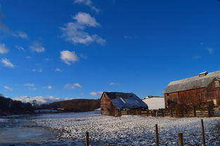 山东奇迹，一个村庄的学术辉煌—16名博士背后的故事