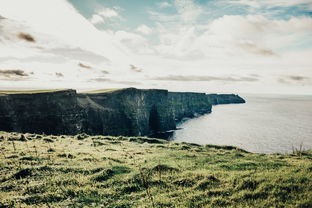 探索自然的乐章，深度解析来安白鹭岛的魅力与守护