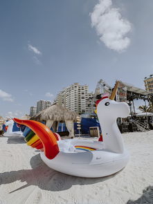 豪华海洋派对背后的秘密，探索亚龙湾游艇会的璀璨世界