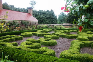 探秘深圳的绿色宝盆,麒麟山庄,城市的绿肺与生活休闲的新乐园 探秘深圳的绿色宝盆,麒麟山庄,城市的绿肺与生活休闲的新乐园