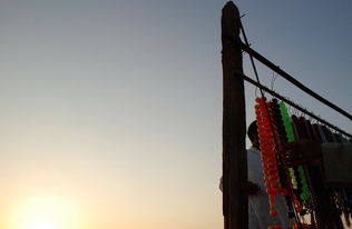 璀璨明珠藏太湖,探寻无锡珍珠的迷人魅力与无尽价值